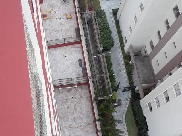  para  em  - 5